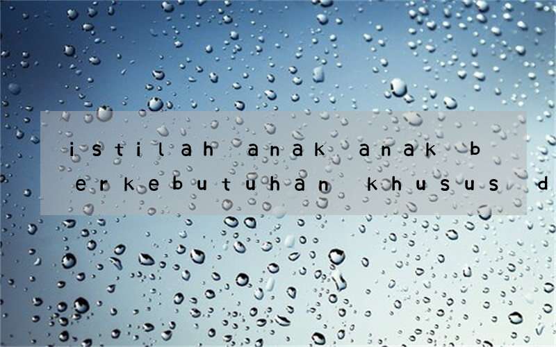 istilah anak anak berkebutuhan khusus dalam bahasa inggris